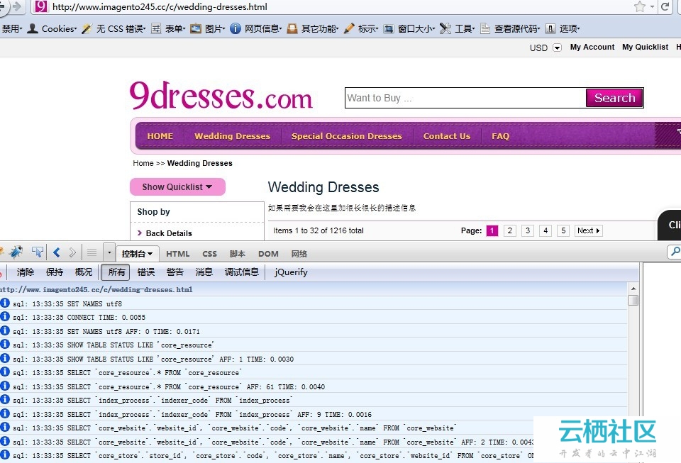 我终于实现了 把 firephp 集成进 magento了 终于能监测 sql了